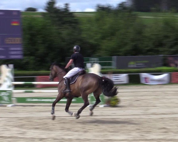 Reitturnier Weiswampach  2024