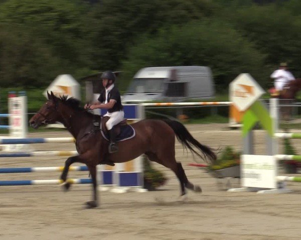 Reitturnier Weiswampach  2024