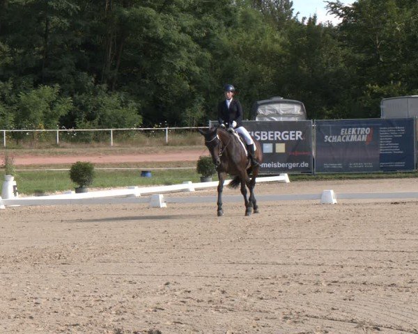 Reitturnier Heiligenwald 2024
