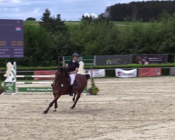 Reitturnier Weiswampach  2024