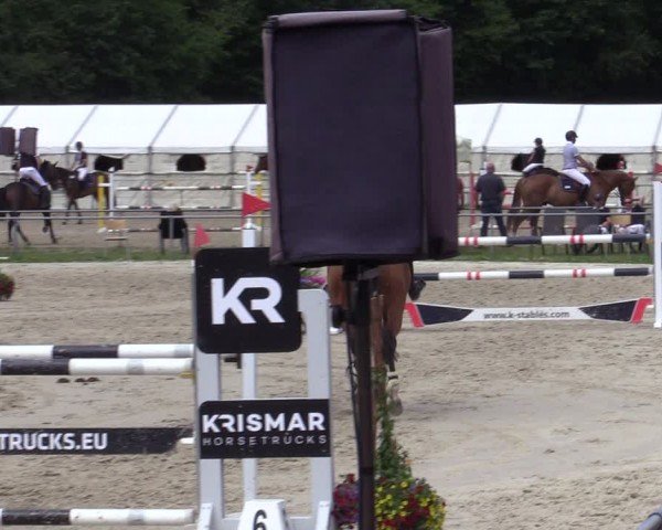 Reitturnier Weiswampach  2024