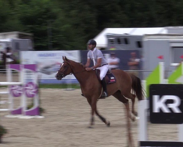 Reitturnier Weiswampach  2024
