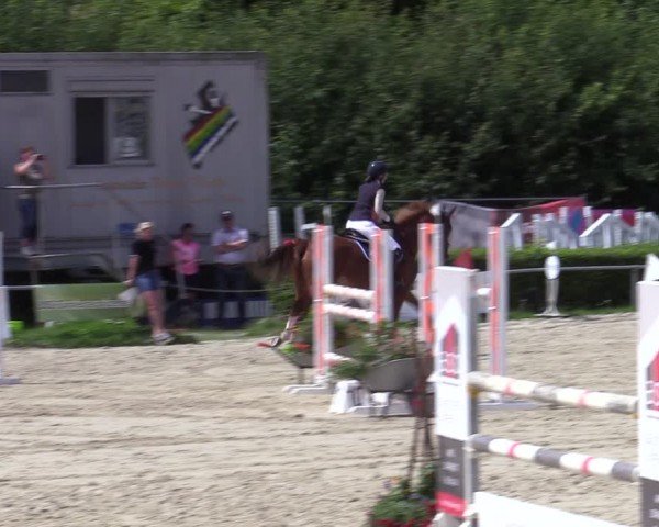 Reitturnier Weiswampach  2024