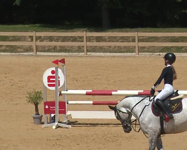 Reitturnier Tiefenhof/Opf. 2024