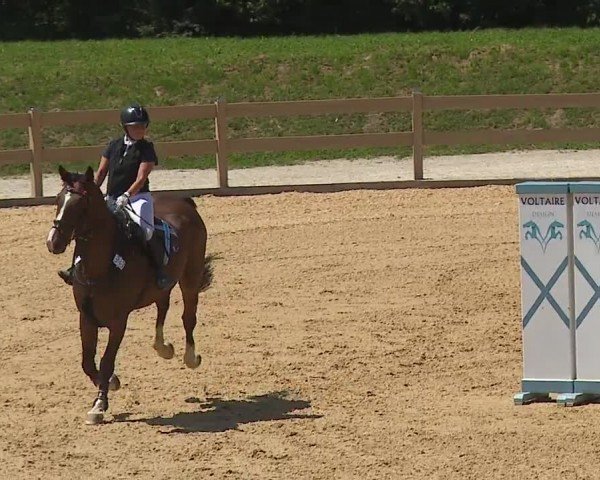 Reitturnier Tiefenhof/Opf. 2024