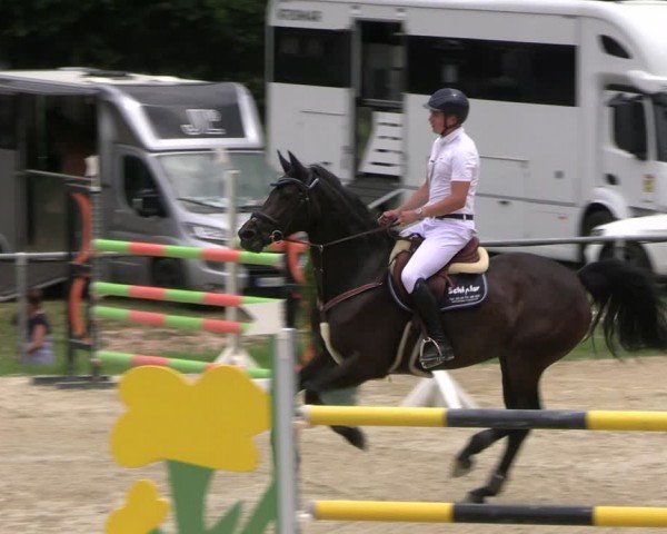 Reitturnier Bad Liebenstein/Sorga 2024