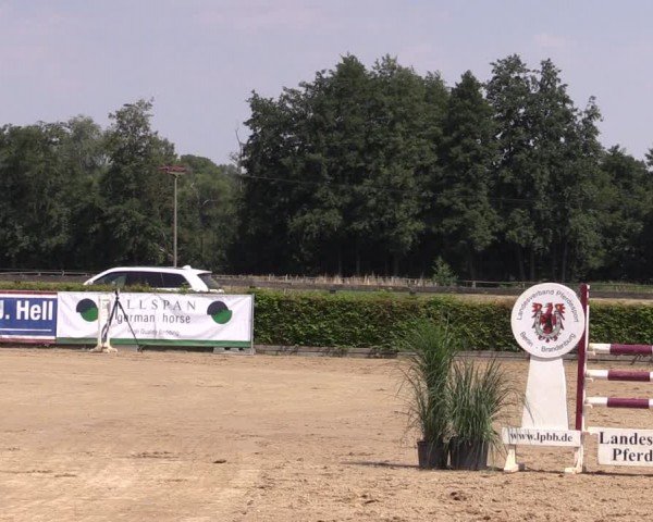 Reitturnier Neustadt/Dosse 2024