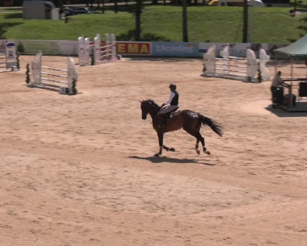 Reitturnier Stadl-Paura 2024