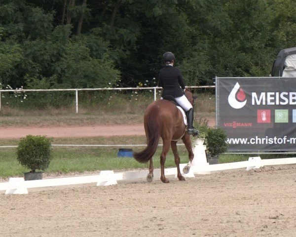 Reitturnier Heiligenwald 2024