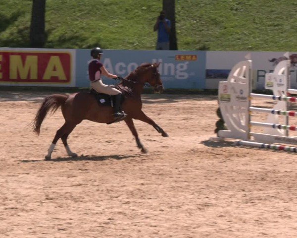 Reitturnier Stadl-Paura 2024