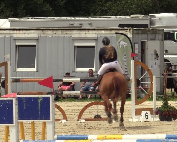Reitturnier Weiswampach  2024