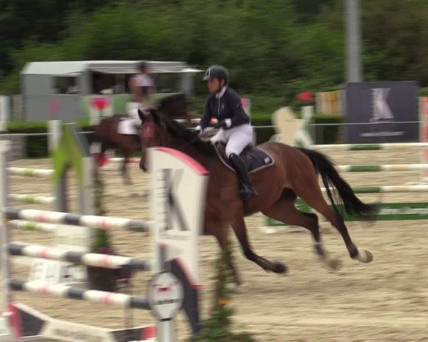 Reitturnier Weiswampach  2024
