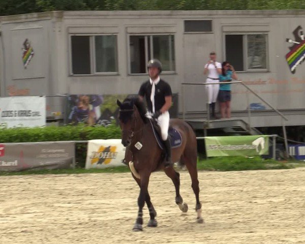 Reitturnier Weiswampach 2024