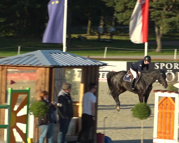 Reitturnier Westergellersen 2021