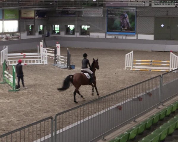 Reitturnier Luhmühlen 2021