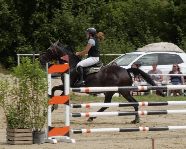 Reitturnier Heiligenwald 2024