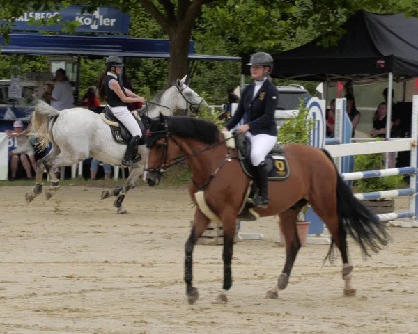 Reitturnier Heiligenwald 2024