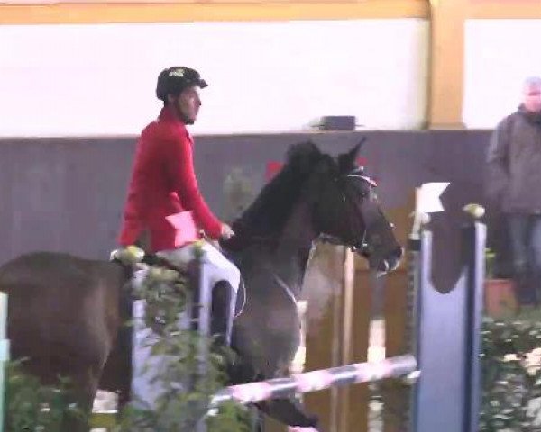 Nationales Hallenspringturnier Sauldorf- Boll 2013