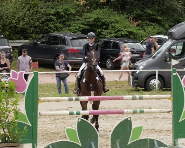 Reitturnier Heiligenwald 2024