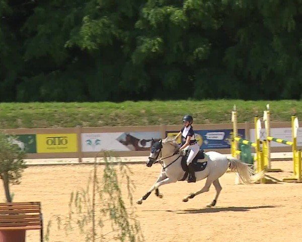Reitturnier Tiefenhof/Opf. 2024