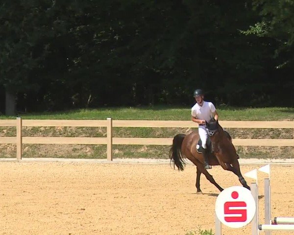 Reitturnier Tiefenhof/Opf. 2024