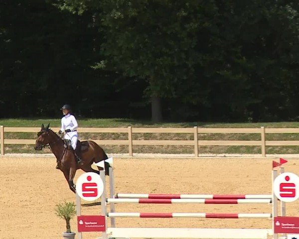 Reitturnier Tiefenhof/Opf. 2024