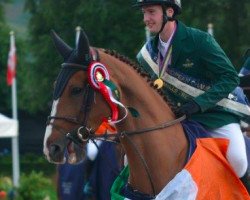jumper Felix Xxviii (Hanoverian, 2004, from Forsyth)