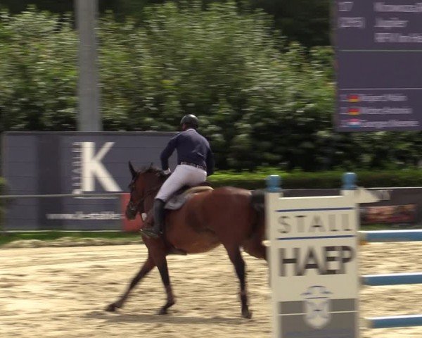 Reitturnier Weiswampach  2024