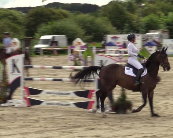 Reitturnier Weiswampach 2024