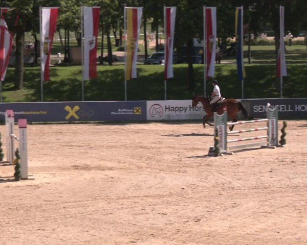Reitturnier Stadl-Paura 2024