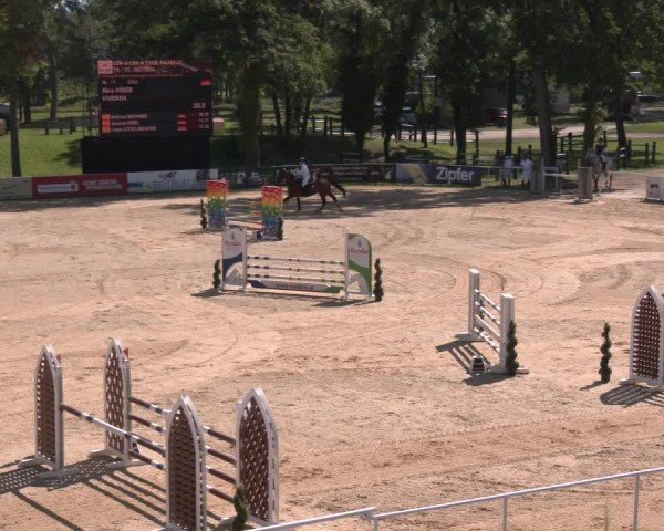 Reitturnier Stadl-Paura 2024