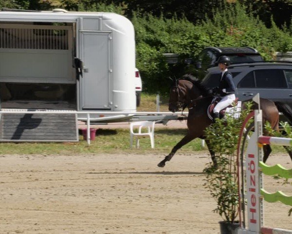 Reitturnier Heiligenwald 2024