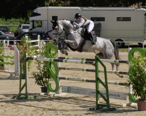 Reitturnier Heiligenwald 2024