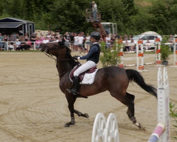 Reitturnier Heiligenwald 2024