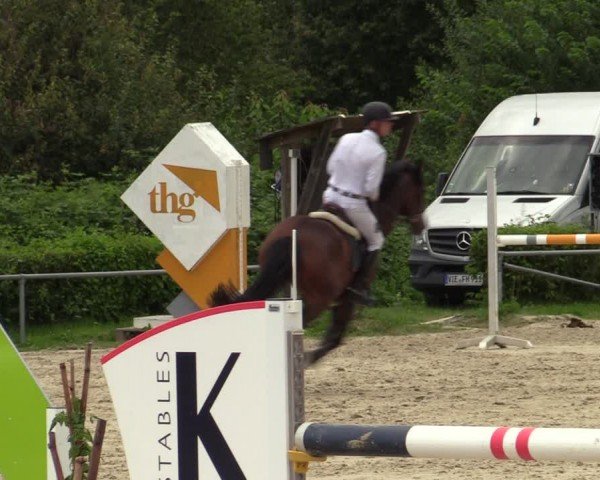 Reitturnier Weiswampach  2024