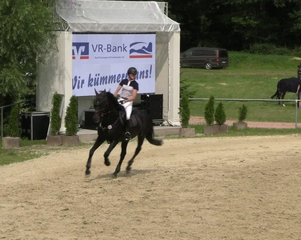 Reitturnier Bad Liebenstein/Sorga 2024
