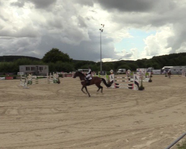 Reitturnier Weiswampach  2024