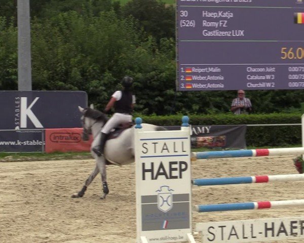 Reitturnier Weiswampach 2024