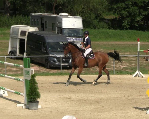 Reitturnier Bad Liebenstein/Sorga 2024