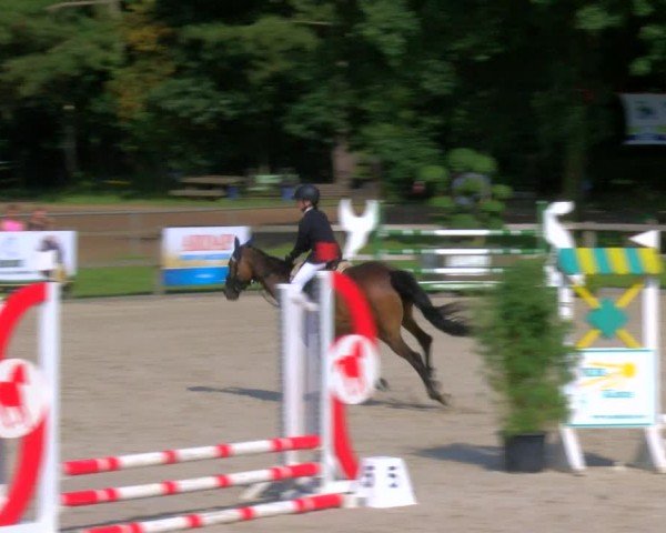 Reitturnier Barlo-Bocholt 2024