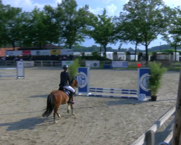 Reitturnier Barlo-Bocholt 2024