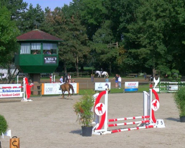 Reitturnier Barlo-Bocholt 2024