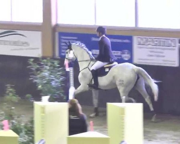 Nationales Hallenspringturnier Sauldorf- Boll 2013