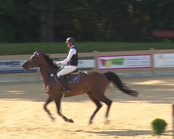 Reitturnier Tiefenhof/Opf. 2024