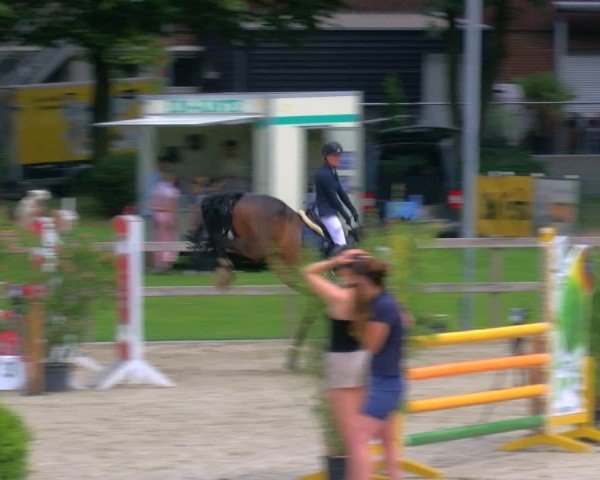 Reitturnier Barlo-Bocholt 2024