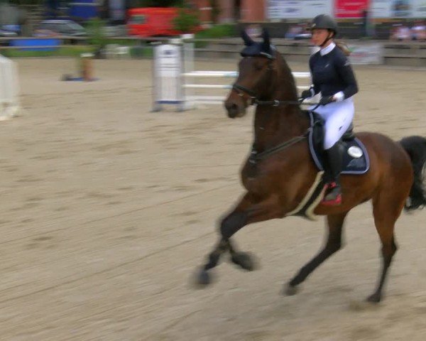 Reitturnier Barlo-Bocholt 2024