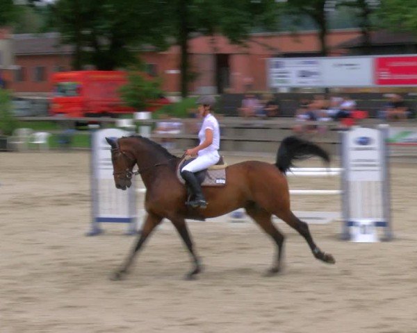 Reitturnier Barlo-Bocholt 2024