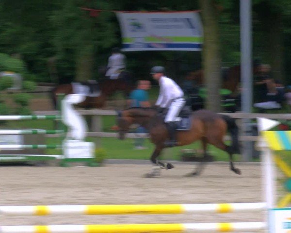 Reitturnier Barlo-Bocholt 2024