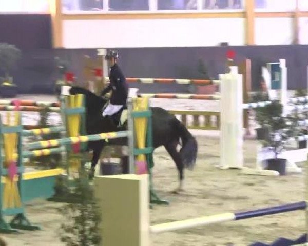 Nationales Hallenspringturnier Sauldorf- Boll 2013