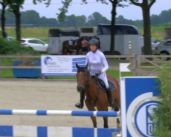 Reitturnier Barlo-Bocholt 2024